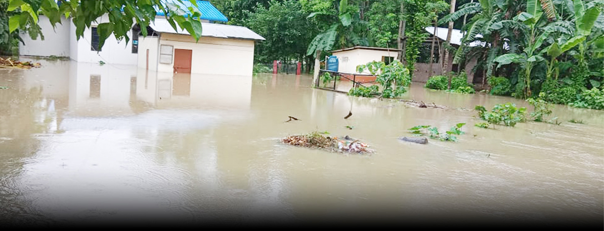 Assam Floods Plan India